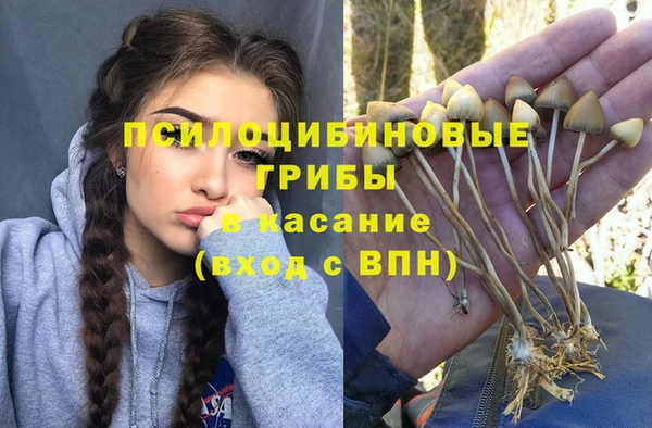 метамфетамин Белокуриха