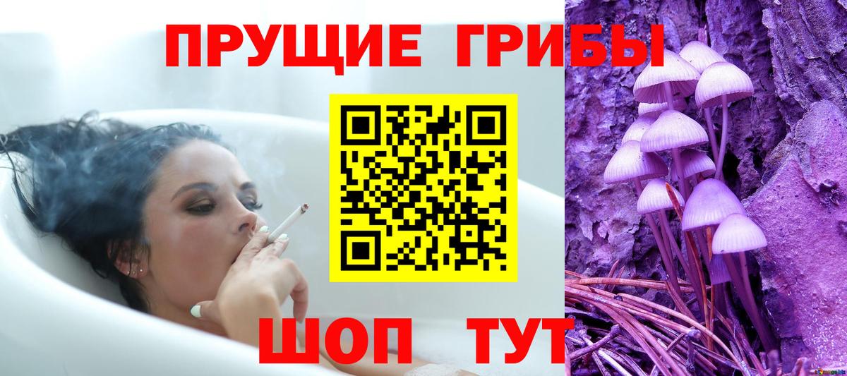 Псилоцибиновые грибы мицелий  Вход с VPN  Сланцы 